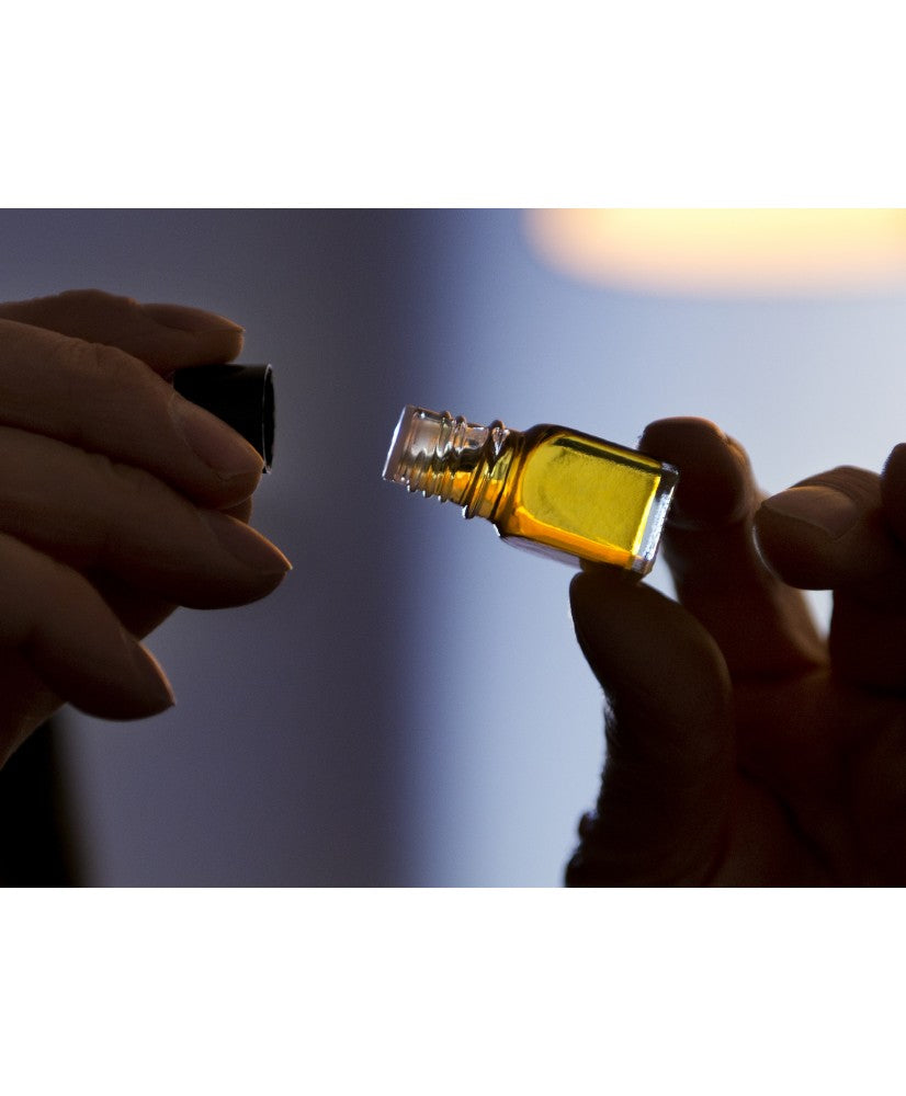 Le Nez du Vin Le Nez du Vin White Wine Aroma Kit – 12 Aromas