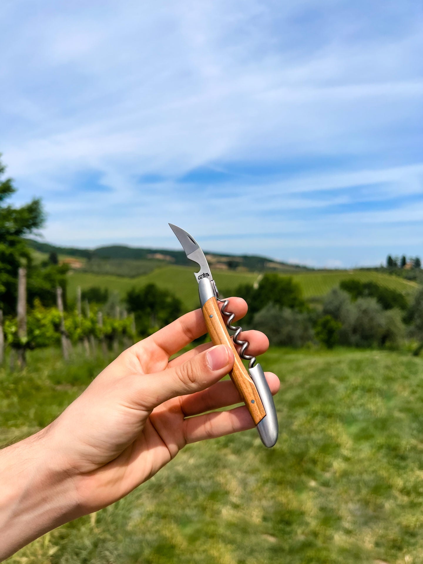 Forge de Laguiole Forge de Laguiole sommelier corkscrew/knife | Olivewood