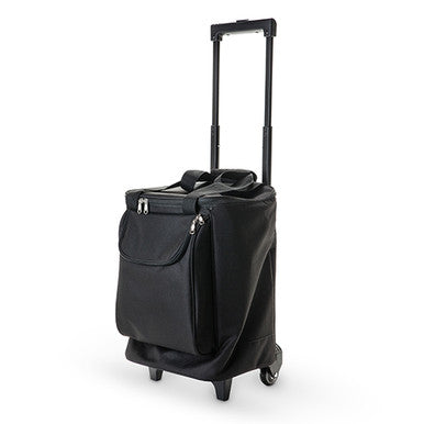 Wine best sale carrier suitcase