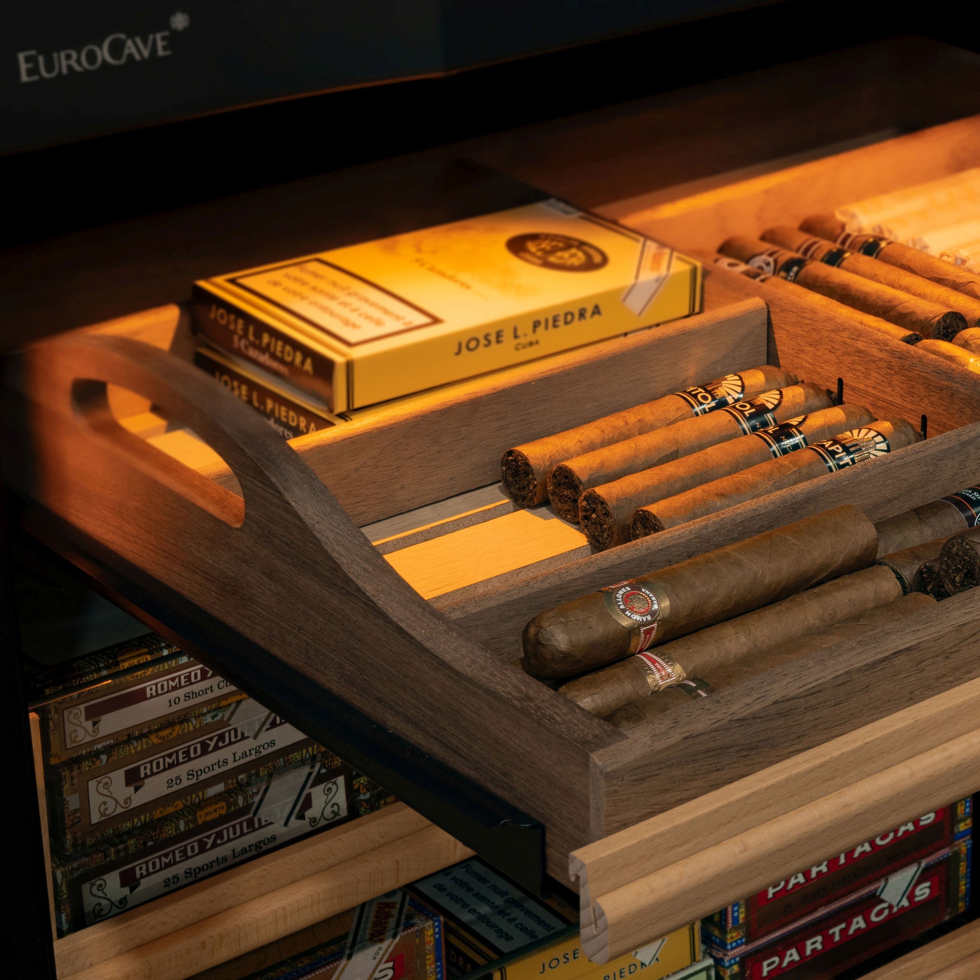 EuroCave Cigar Humidor with Glass Door and Black Frame