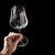 Gabriel-Glass Gold Edition | Hand-blown wine glasses