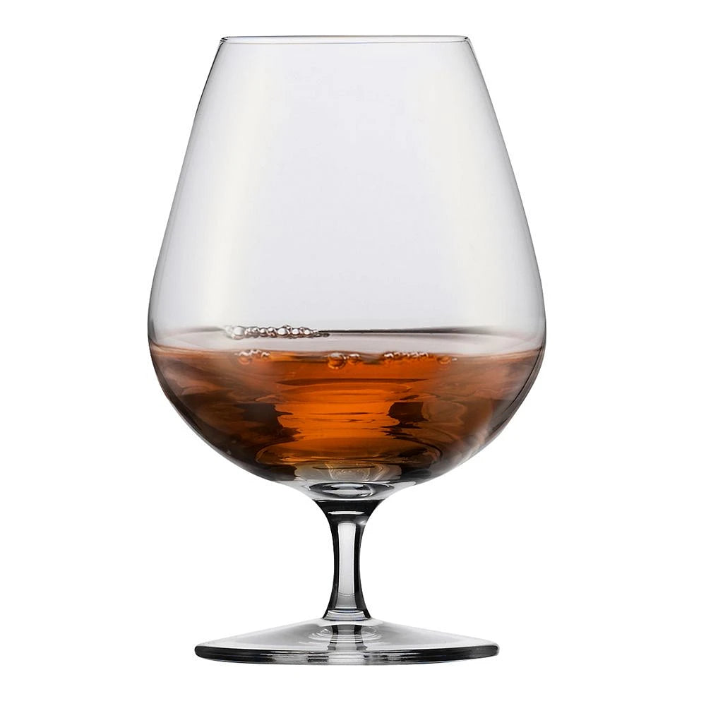 SENSISPLUS Brandy Snifter